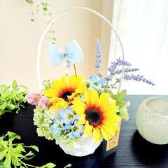 花おとぎのひまわりアレンジ(イベント)の画像
