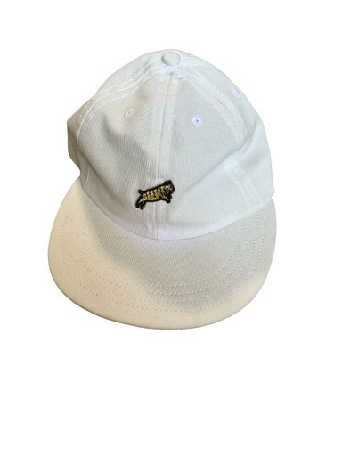 Team Dream Bicycling Team オリジナル パッカブルキャップ