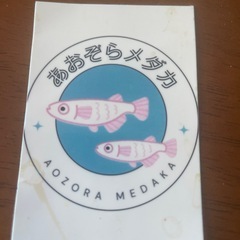 なかよし村メダカイベント