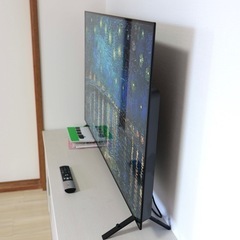LG 有機EL テレビ 48型 4K OLED48A2PJA 2022年モデル (River Tan