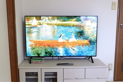 LG 有機EL テレビ 48型 4K OLED48A2PJA 2022年モデル (River Tan
