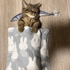 金沢　福わ家さんに行きましょ！