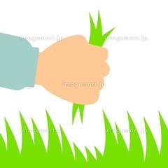 植木の剪定、剪定の助手　作業時間3〜8時間の画像