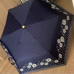 柚子茶＊オレンジマーマレード【グリーンカレーバッグ付き＆雨・日傘付き
】の画像