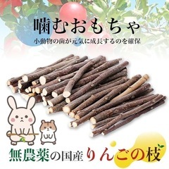 無農薬　りんごの枝　小動物の画像