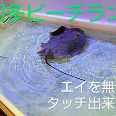 ◉お得!! ◉  南知多ビーチランドおもちゃ王国無料入場券 22...