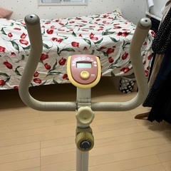 【決まりました】エアロバイク　ALINCOの画像