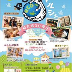 西宮北口でねこecoマルシェ☆