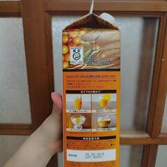 豊潤サジージュースの画像