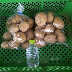 無農薬　新ジャガ男爵、メークイーンの販売