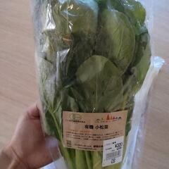 食品　の画像
