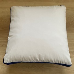 トゥルースリーパー♦︎クッションの画像