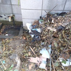 太い幹の抜根をしたいのですが、やり方わかるひといませんか😭