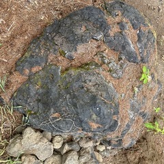 巨大　浅間石　幅約120cmの画像