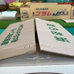 浜松の梨　梨　幸水　8玉　サービス品　の画像