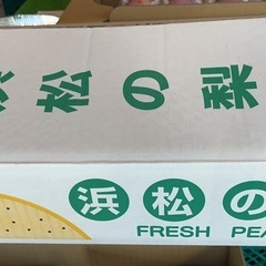 浜松の梨　梨　幸水　8玉　サービス品　の画像