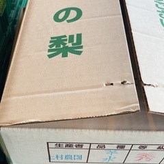 浜松の梨　梨　幸水　8玉　サービス品　の画像