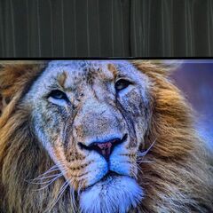 SONY　有機ELテレビ　BRAVIA KJ-55A8G　55インチ　2020年7月購入　画像をご確認くださいの画像