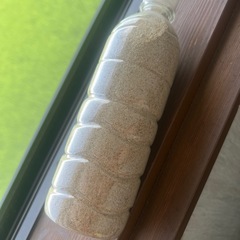 サンゴ砂