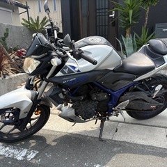 mt-25 rg10j 自賠責付きの画像