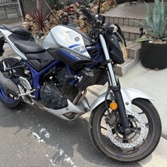 mt-25 rg10j 自賠責付きの画像