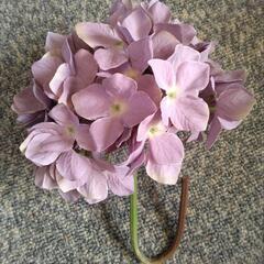 訳あり品 アジサイ造花 直径約20㎝の画像