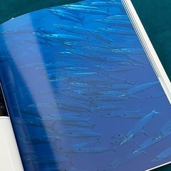☆写真集☆ 悠久沖縄 2001年のBLUEの画像