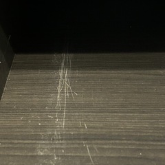 傷の確認ページ①の画像