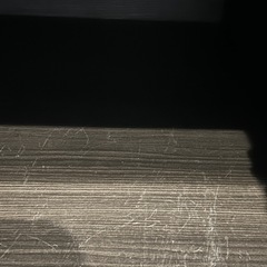 傷の確認ページ①の画像