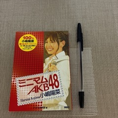 ミニマムAKB48小嶋陽菜
の画像