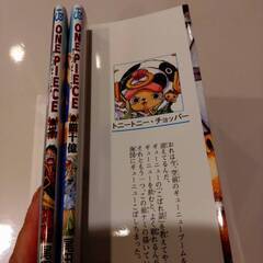 ワンピース ONE PIECE 映画入場特典 FILM Z/FILM RED　の画像