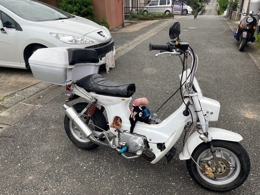 シャリー　110cc カスタム　福岡