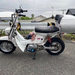 シャリー　110cc カスタム　自賠責付　福岡の画像