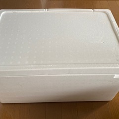 発泡スチロールA　の画像