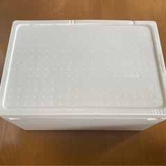 発泡スチロールA　の画像