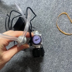 Co2頭の画像