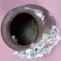 フジツボ　花器の画像