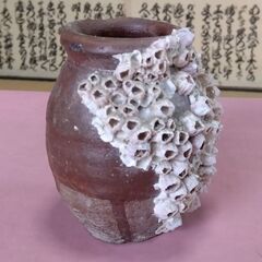 フジツボ　花器の画像