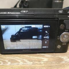 SONY α NEX-F3 ミラーレス一眼カメラの画像