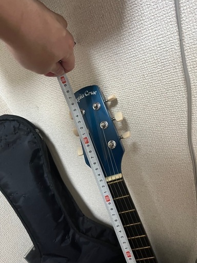引越しのため手放し】