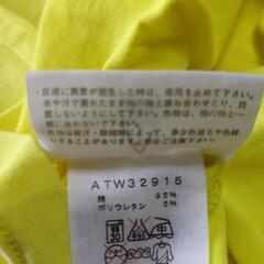 ノースフェイス　Tシャツ　レディース　Lサイズの画像