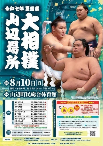 【限定値下げ中】大相撲　山辺場所チケット　タマリA席1枚