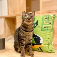 高速バス乗り場で保護したエディーくん