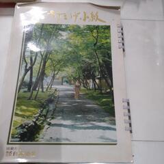 【断捨離中‼️あげます‼️】　昭和レトロ　カタログ　着物の画像