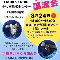 猫の譲渡会(K-2025.8)