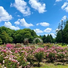 【代々木公園など】20代限定！お散歩仲間をゆるっと募集🌱