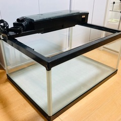 60cmロータイプ水槽+上部濾過槽