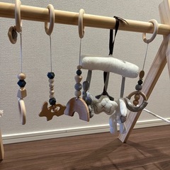 【美品】ベビージム の画像
