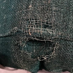 蚊帳の画像