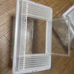 プラケースの画像